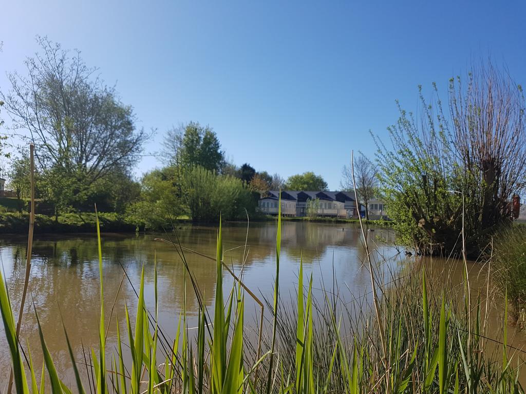 Sycamore Farm Park